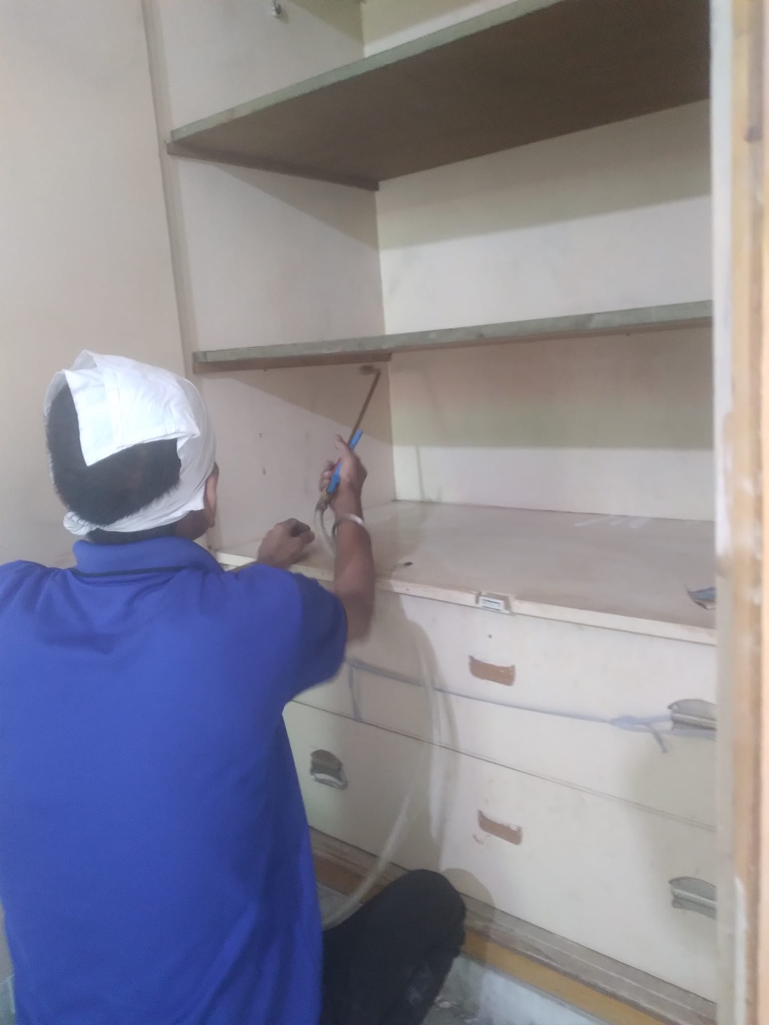 Termite Inspection Service