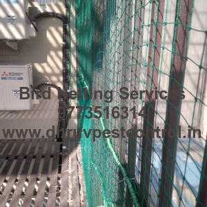 bird netting services 