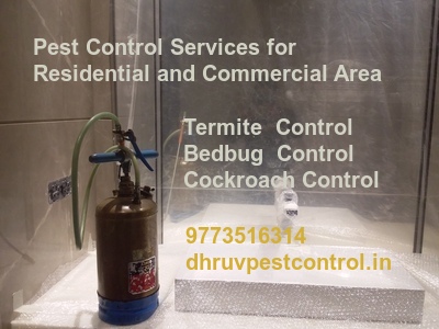 pest Control services