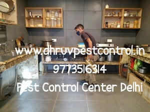  Pest Control central Delhi