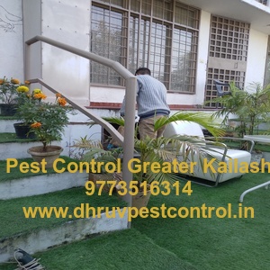  Pest Control Greater Kailash