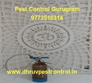 termite pest control services gurugram