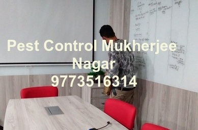  Pest Control Mukherjee Nagar