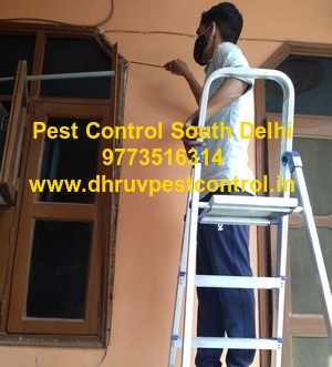  Pest Control South Delhi